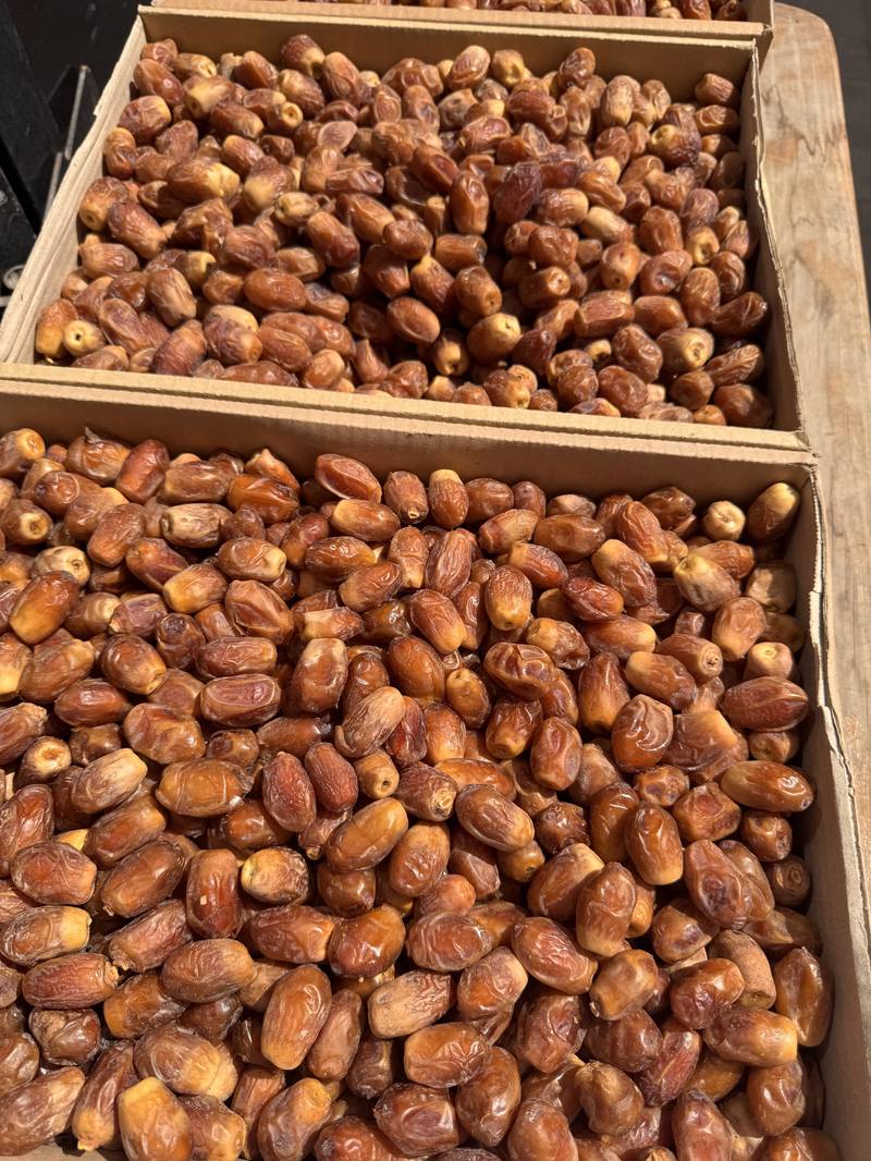 خرمای زاهدی
